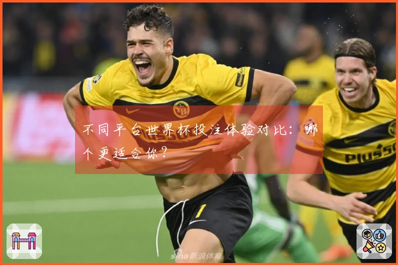 不同平台世界杯投注体验对比：哪个更适合你？