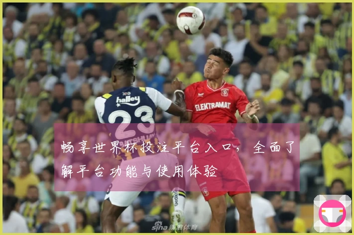 畅享世界杯投注平台入口，全面了解平台功能与使用体验