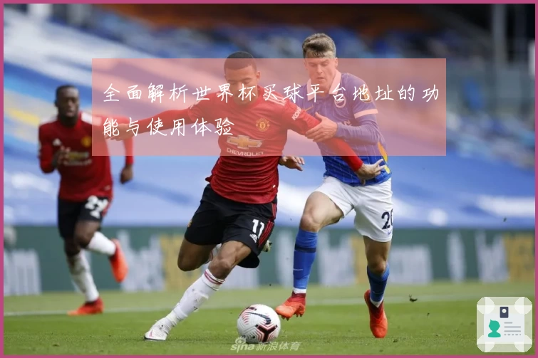 全面解析世界杯买球平台地址的功能与使用体验