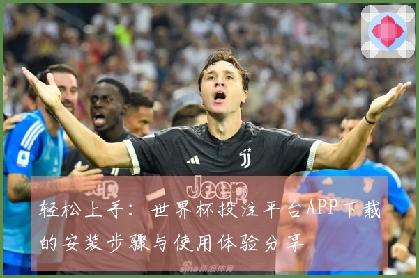 轻松上手：世界杯投注平台APP下载的安装步骤与使用体验分享