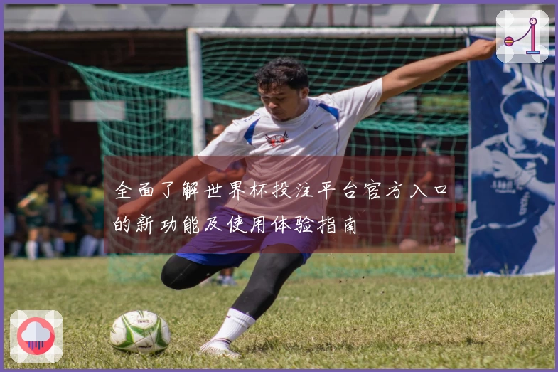 全面了解世界杯投注平台官方入口的新功能及使用体验指南