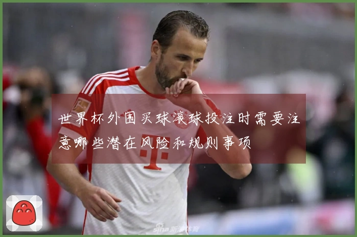 世界杯外围买球滚球投注时需要注意哪些潜在风险和规则事项