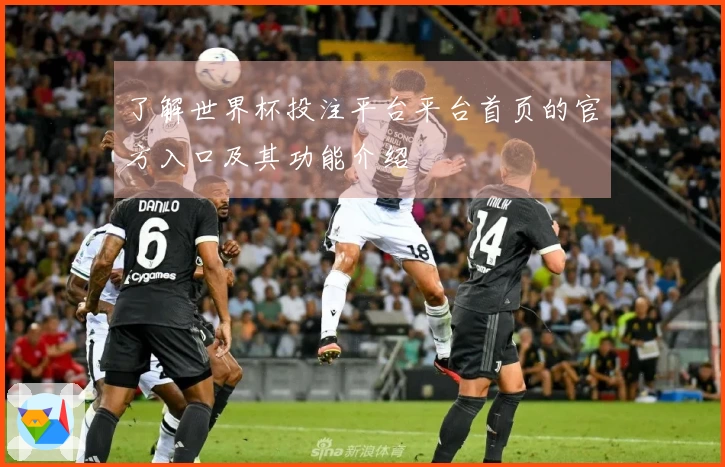 了解世界杯投注平台平台首页的官方入口及其功能介绍