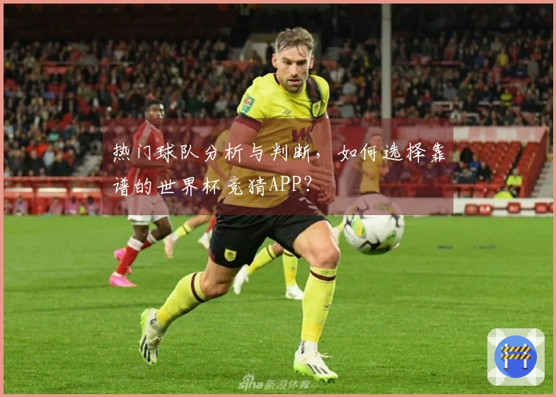 热门球队分析与判断，如何选择靠谱的世界杯竞猜APP？