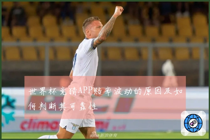 世界杯竞猜APP赔率波动的原因及如何判断其可靠性
