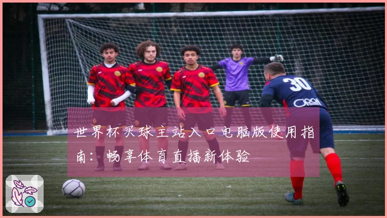 世界杯买球主站入口电脑版使用指南：畅享体育直播新体验