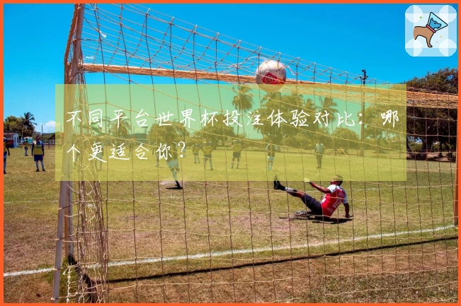 不同平台世界杯投注体验对比：哪个更适合你？