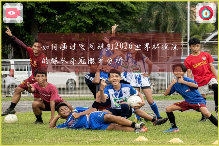 如何通过官网辨别2026世界杯投注的球队夺冠概率分析