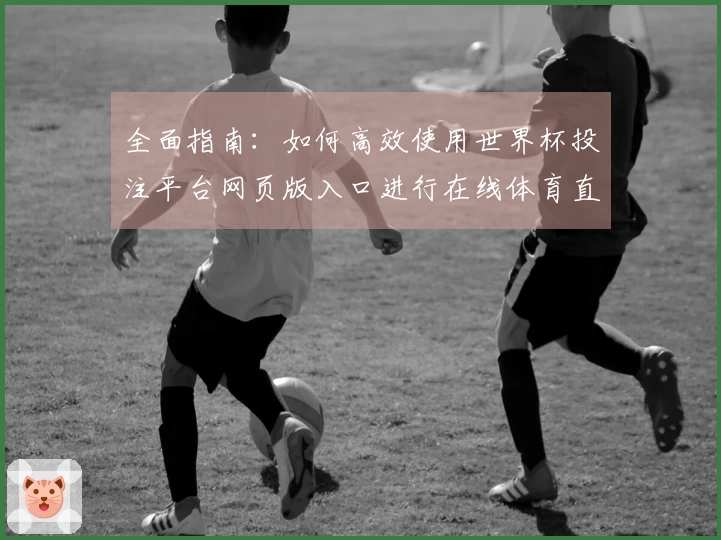 全面指南：如何高效使用世界杯投注平台网页版入口进行在线体育直播