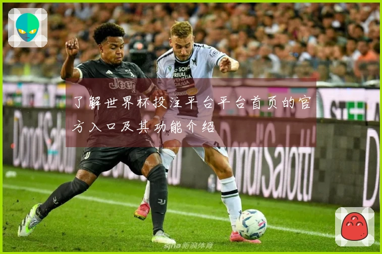 了解世界杯投注平台平台首页的官方入口及其功能介绍